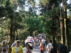 -南岳衡山风景名胜区