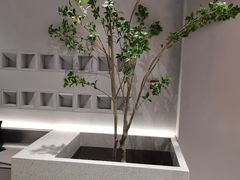 -喜茶(烟台海港路振华商厦店)