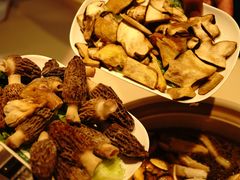 -爱膳菌锅锅(阳南店)