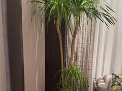 -徐记海鲜(观沙岭|滨江新城店)