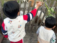 -长兴对江渡客运站