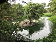 -新加坡飞禽公园