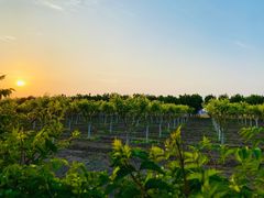 -南开大学滨海学院