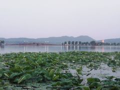 -知味观(湖滨总店)