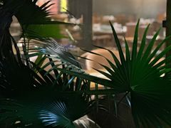 -古琢小馆·珠海味(南方软件园店)