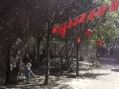 -勇士之星真人CS·团建·拓展(清水河公园店)