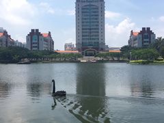 -厦门大学(思明校区)