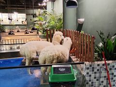 -上海大自然野生昆虫馆(东方明珠·爬宠昆虫探索中心)