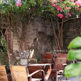 库存咖☕️和16岁“苏菲”，晒太阳、叹咖啡、聊人生