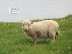 -萨莉亚意式餐厅(黄村高德汇店)