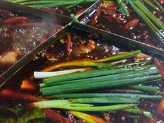 -枇杷园食为鲜火锅(南山店)