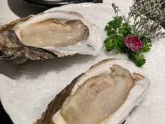 -汤城·料青山