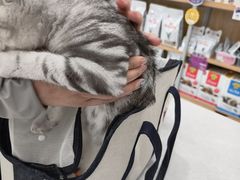 -瑞鹏宠物医院·骨外科·心肾科·肿瘤科(九亭店)