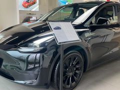 -TESLA 特斯拉(郑州正弘城体验店)