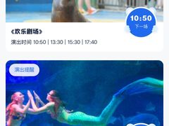 -海合安成都极地海洋公园