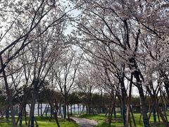 -武汉紫薇都市田园