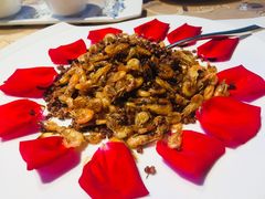 -老房子金沙元年川菜食府·花园餐厅(金沙店)