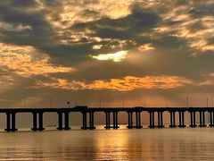 -宝安西湾红树林湿地公园