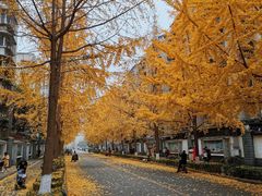 -四川大学(望江校区)