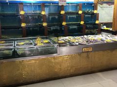 -大清花饺子(五五路店)