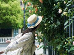 -杭州观成实验学校