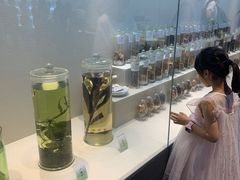 -广东中医药博物馆