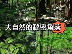-国家植物园南园