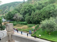 -延安杨家岭革命旧址