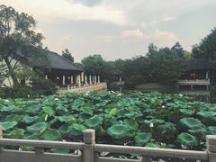景观位-杭州西子湖四季酒店·金沙厅