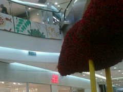 -凯德广场(学府店)