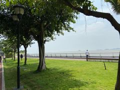 -野狸岛