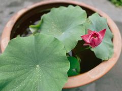 -李叔同故居纪念馆