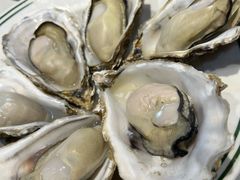 -明本湛江鸡•海鲜小厨(陈家祠店)