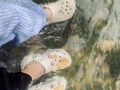 -雅鲁激流探险漂流