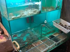 水产区-小时候焗海鲜(鄞州万达店)