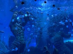 -波塞冬海底世界