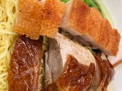 烧肉烧鸭生面-添饭茶餐厅(天悦龙庭店)