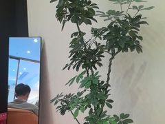 -小仙女采耳·按摩·SPA(深圳旗舰店)