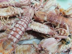皮皮虾-常家活海鲜小吃(仅一家无分店)
