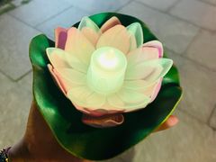 -印象普陀
