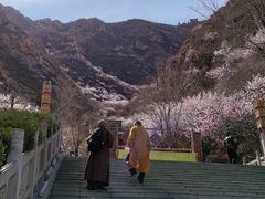 -鸡鸣山旅游景区