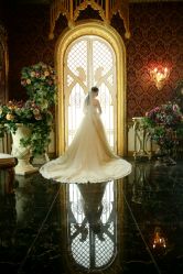 -保定金沙芝柏婚礼策划