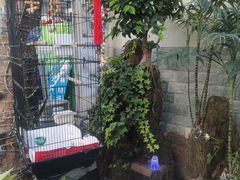 -丽江庭院之丽江往事(安定门店)