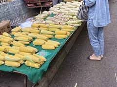 -东仓门早市