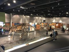 -香港科学馆