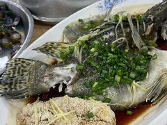 -水上鱼当家