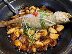 -有喜胶东小馆(超极合生汇太申祥和店)