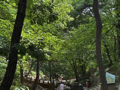 -北京上方山国家森林公园