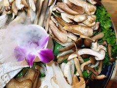 菌子-束河人家(南锣鼓巷店)