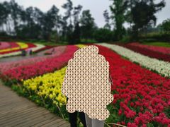 -保利石象湖景区